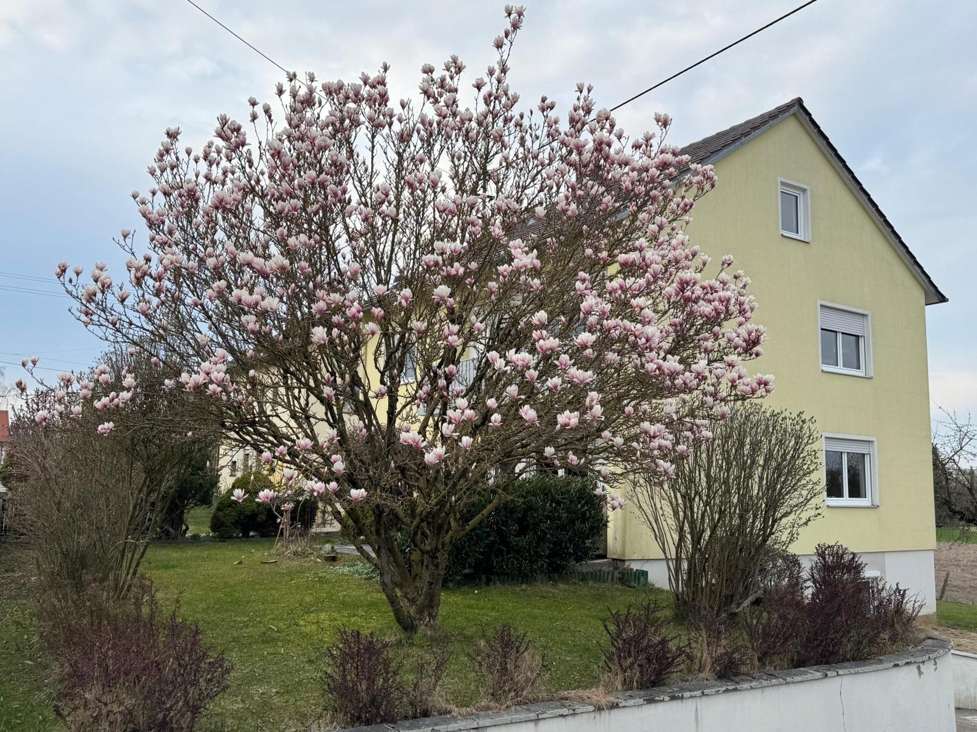 W&P Living Wohnung Mit Ausblick - Parkplatz Biberbach  エクステリア 写真